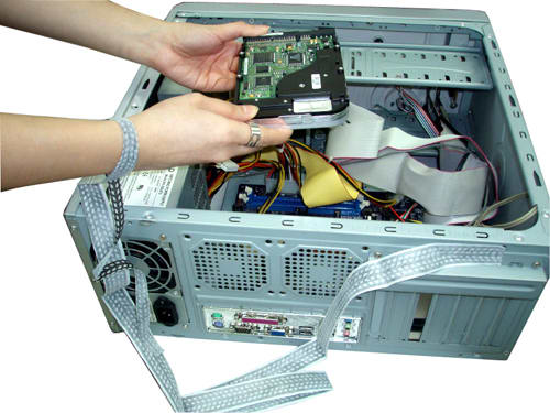 WB5407 Disposable Wrist Band - Image 2